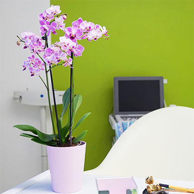 Sammlung bilderleiste 1